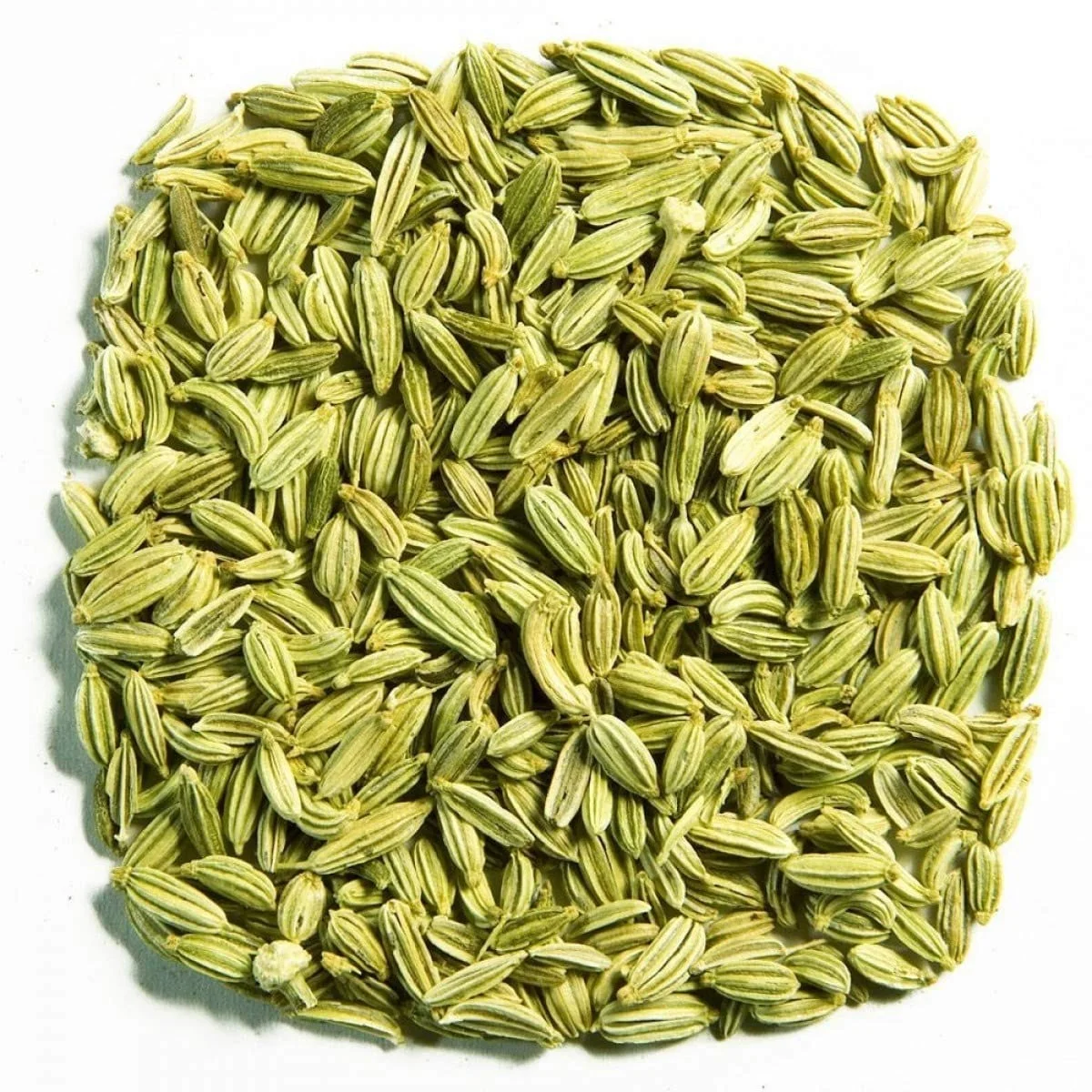 Souf, sonf, soof | Fennel Seeds |Saunf Moti | Moti Sonf | Big Whole   100gm