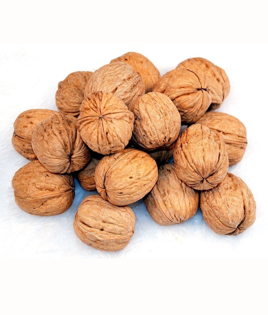 Kashmiri InShell Walnuts Jumbo size | Akhrot sabut, akhrot saboot With Shell Akhrot Dry Fruit | Whole Wallnut | Sabut Akhrot 500g