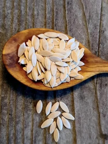 Muskmelon Seeds | kharbuja migi bij bija kharbuj meegi, migi | Kharbooja Beej | Seeds for Eating | 100gm